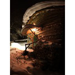 100220-3620pan_
