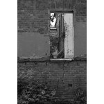 050707_IMG_3627