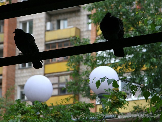 110707_IMG_4792