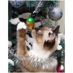 merry_christmas