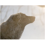 warm_breath_(at_beastly_cold)