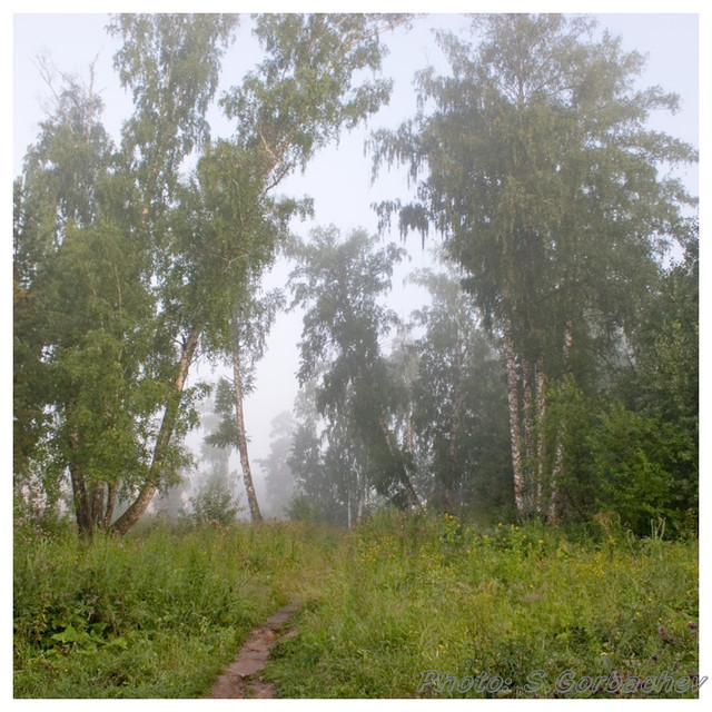 hazy_morning
