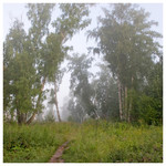 hazy_morning