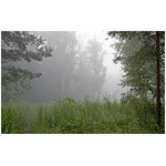 landscape_with_mist
