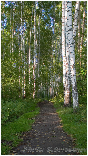 morning_path