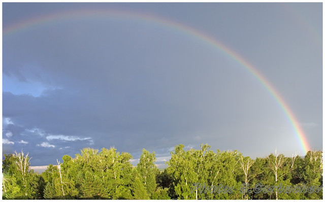 rainbow_(in_my_window)