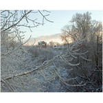 it_is_freezing