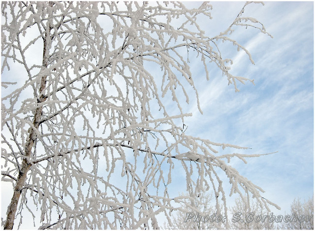winter_pattern