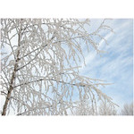 winter_pattern