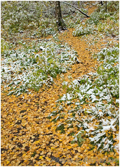autumn_path_to_winter