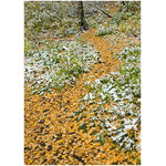 autumn_path_to_winter