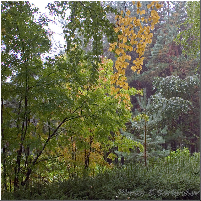 autumn_state_of_mood