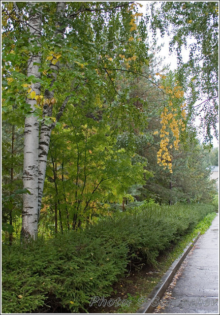 autumn_state_of_mood_2