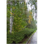 autumn_state_of_mood_2