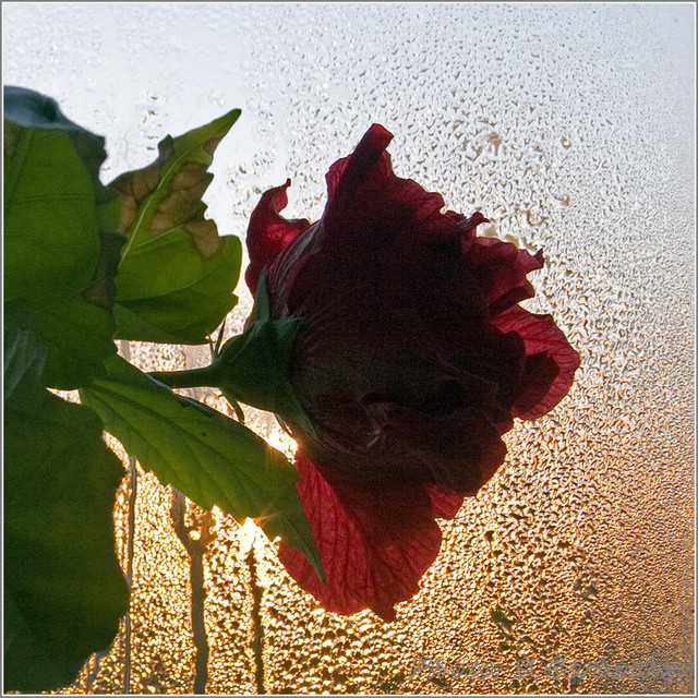 morning_of_autumn_day