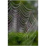 IMG_6932_