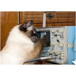 oscillogram reading