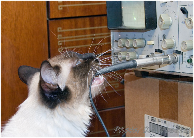 oscillogram reading