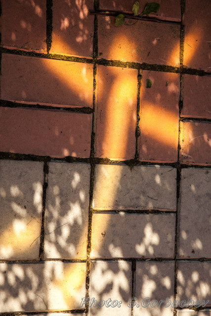 130908-8096