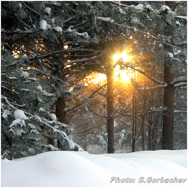frost&sun
