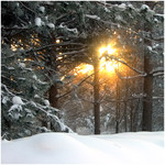 frost&sun