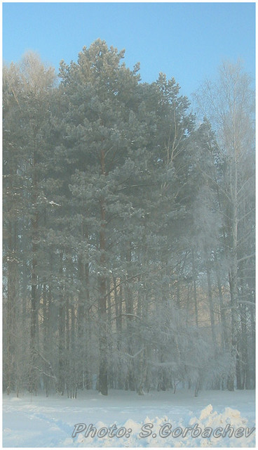 haze