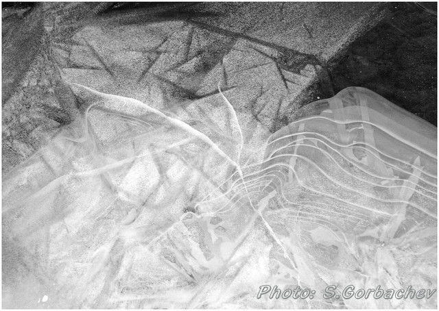 IMG_2900_bw