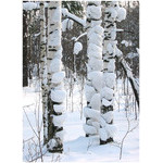 snow-covered_trunks
