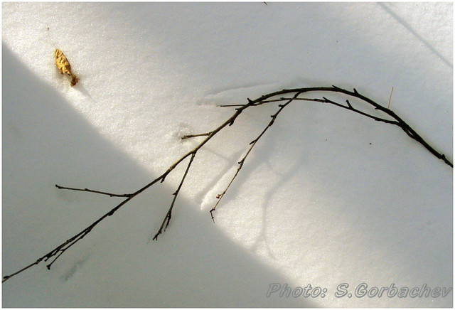 twig_leaf_light