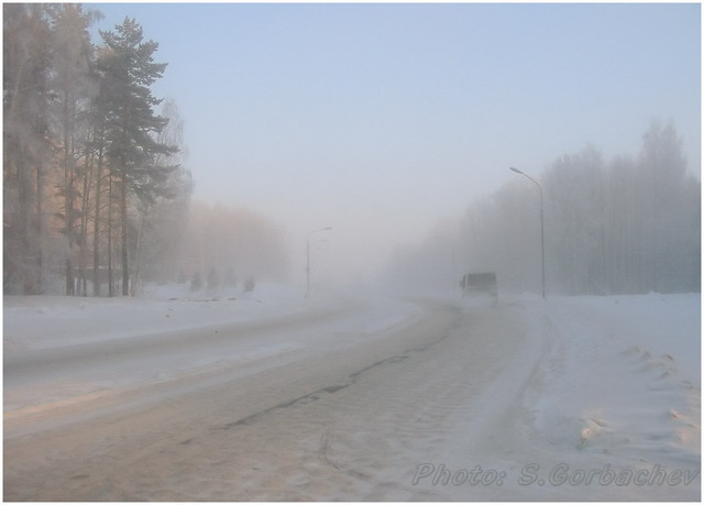 bus_in_mist