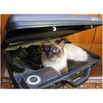 photo accessories