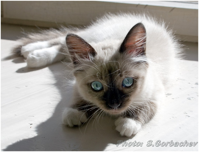 sun-bath