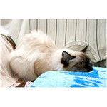 tiredness_(8th_March)