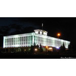 local_authorities