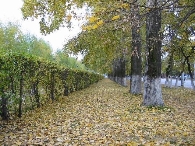 RunningAwayAlley