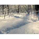 a_morning's_walk