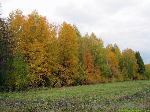 autumn_edge