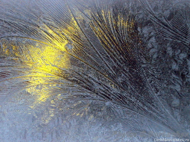 feather