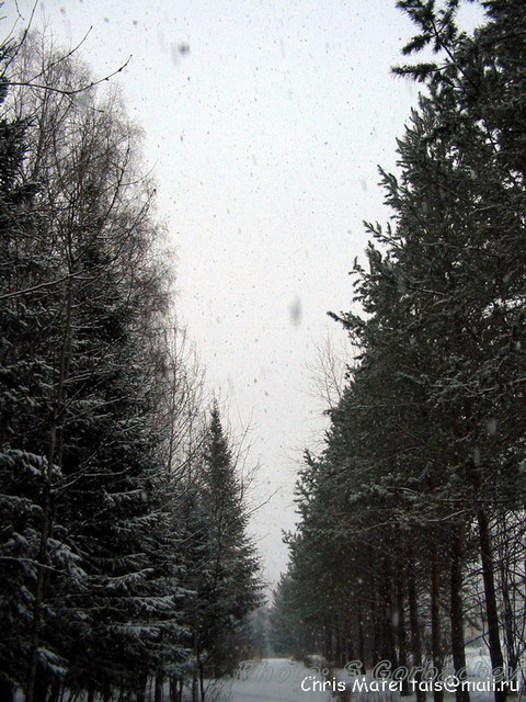 ItIsSnowing