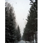 ItIsSnowing