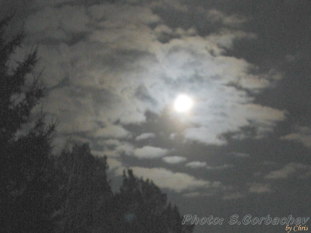 light_of_night