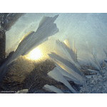 one_more_morning_in_Arctic