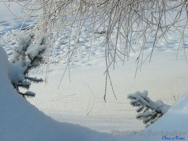 quiet_haven_(at_winter)