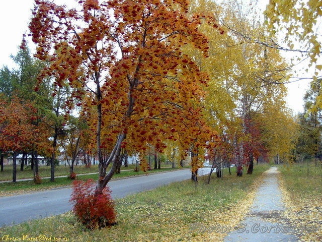 running_away_autumn_alley