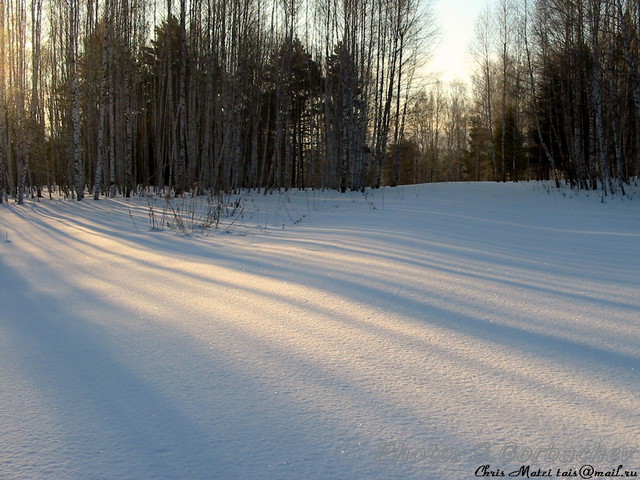 shadows_of_new_day
