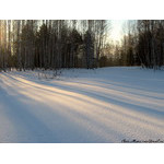 shadows_of_new_day