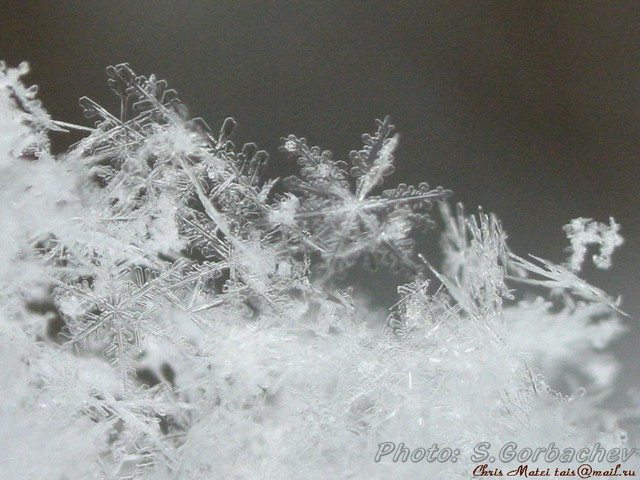 snowflakes