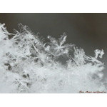 snowflakes