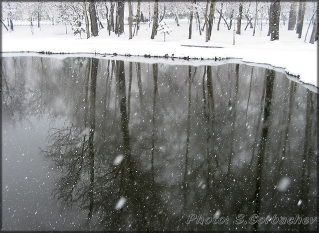 Spring2004
