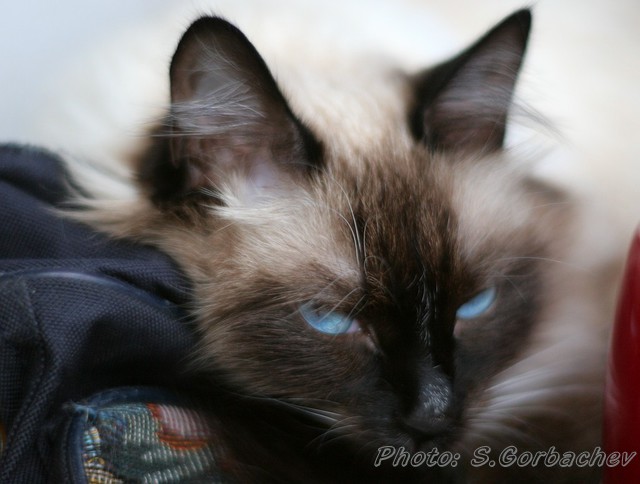 snooze
